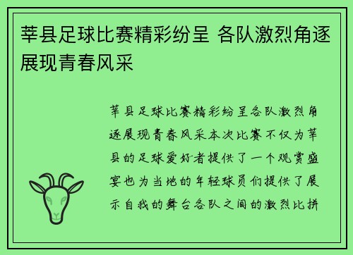 莘县足球比赛精彩纷呈 各队激烈角逐展现青春风采